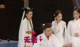 娱乐圈吃瓜爆料杨紫视频